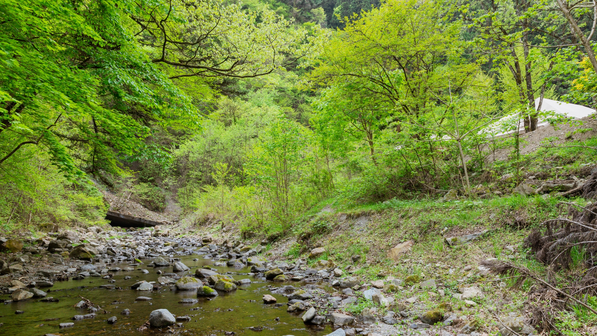 *【渓流の風景】自然美あふれる景色に心癒されます。