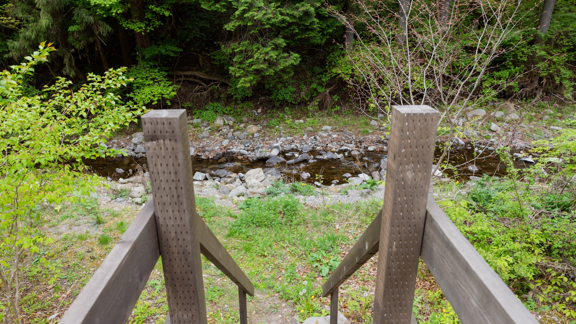 *【周辺環境】テントの目の前に清流が流れる大自然に囲まれた環境。