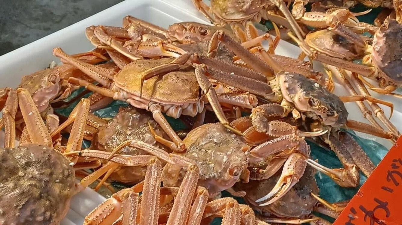 【12月限定】庄原の古民家で味わう！海と山の幸の“極上カニ鍋体験プラン”〜大人のシェア旅〜