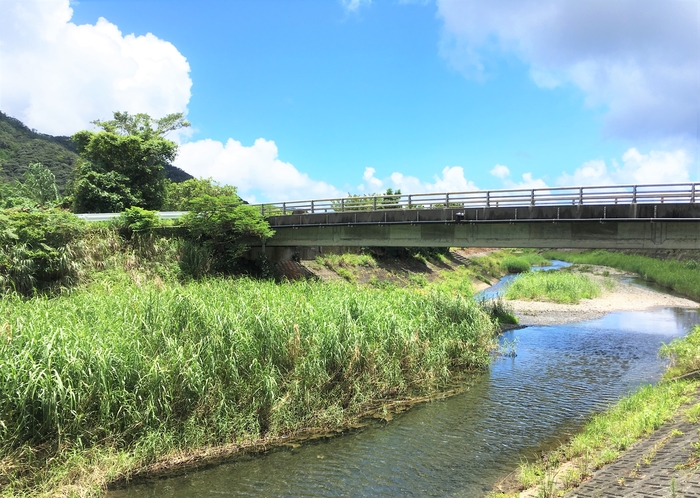 近所の川1