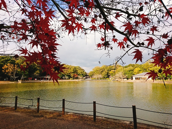 橿原神宮・秋