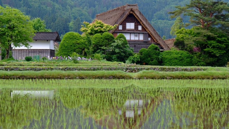 【世界文化遺産・白川郷】茅葺屋根の合掌造りの家々を今に残し、日本の原風景ともいえる景色を愉しめる
