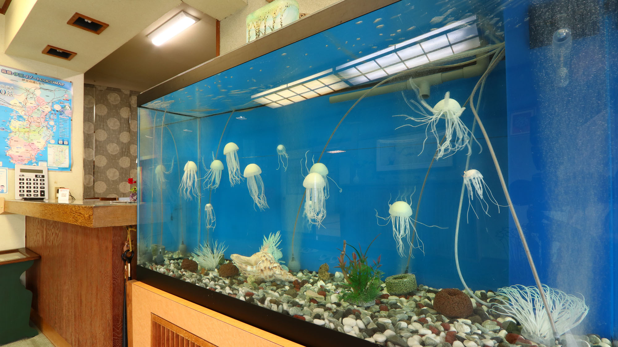 その他_ダミークラゲ水槽*