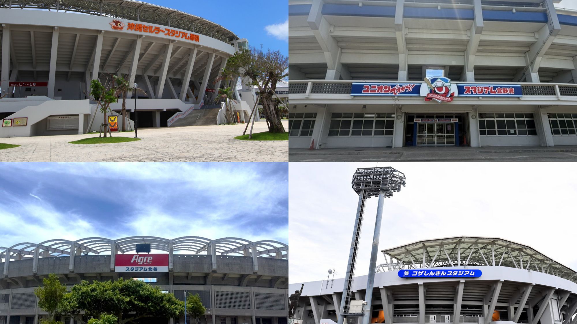 【プロ野球キャンプ】