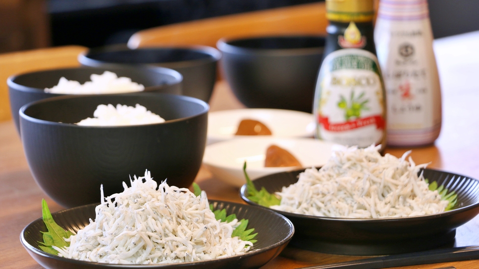 【1泊朝食付き・しらす丼】和歌山ならではの朝食♪おいしいしらすを朝から堪能♪