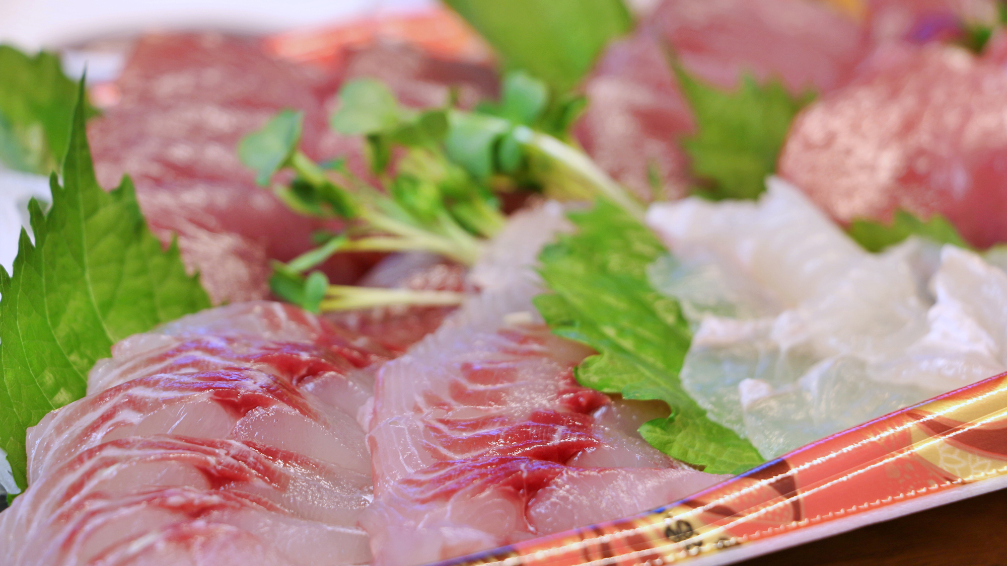 新鮮なお刺身をお楽しみください (1)