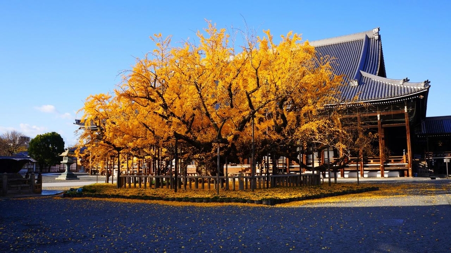 京都の秋風景