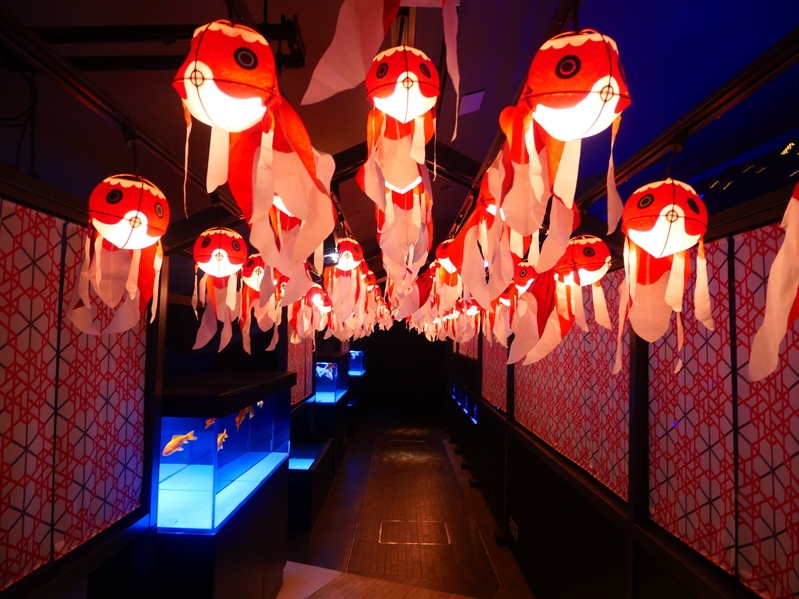 空と海を巡る東京体験｜東京スカイツリー展望デッキ＆回廊＋すみだ水族館チケット付