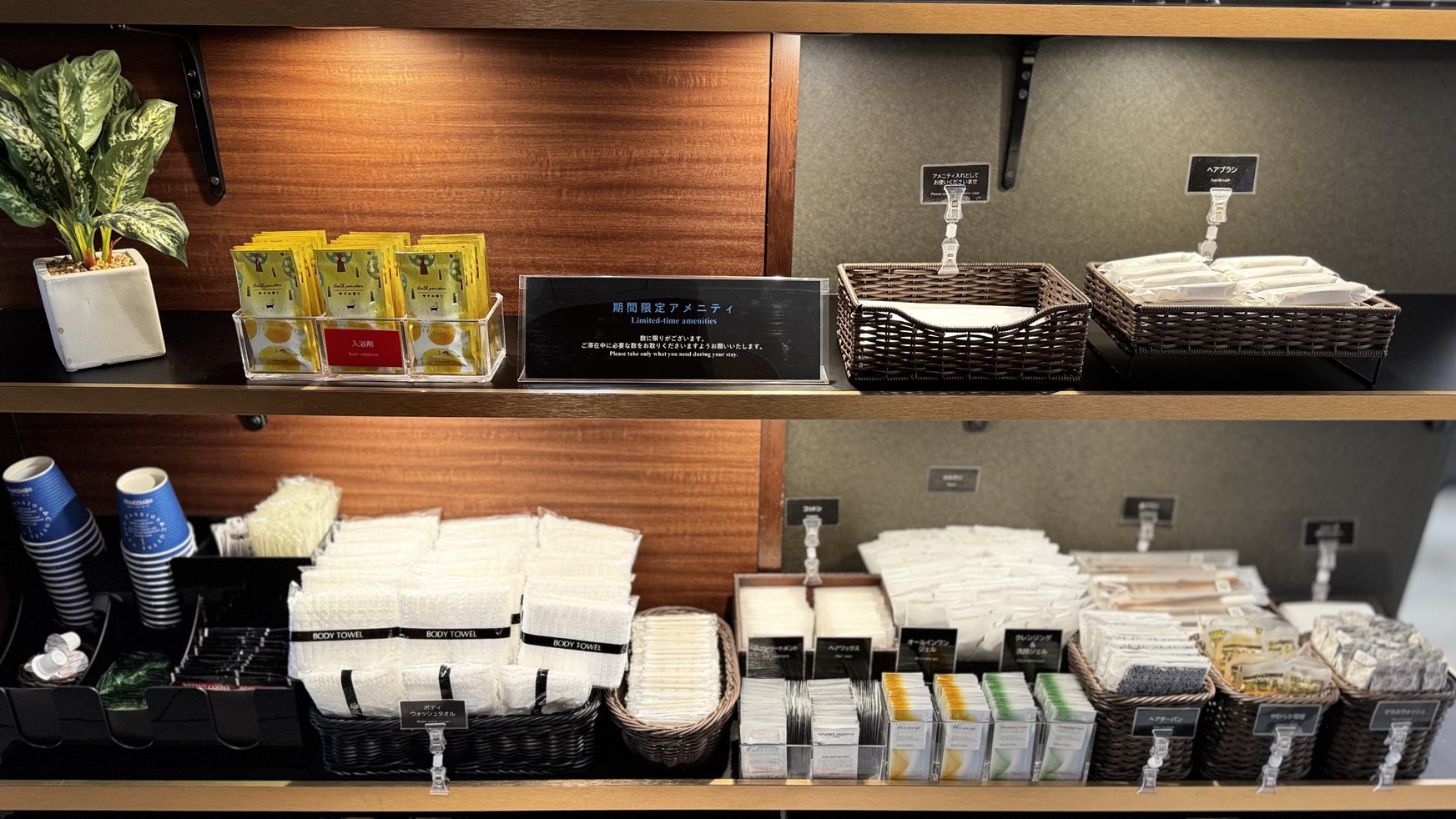 【Ascotオリジナルセール】無料朝食付