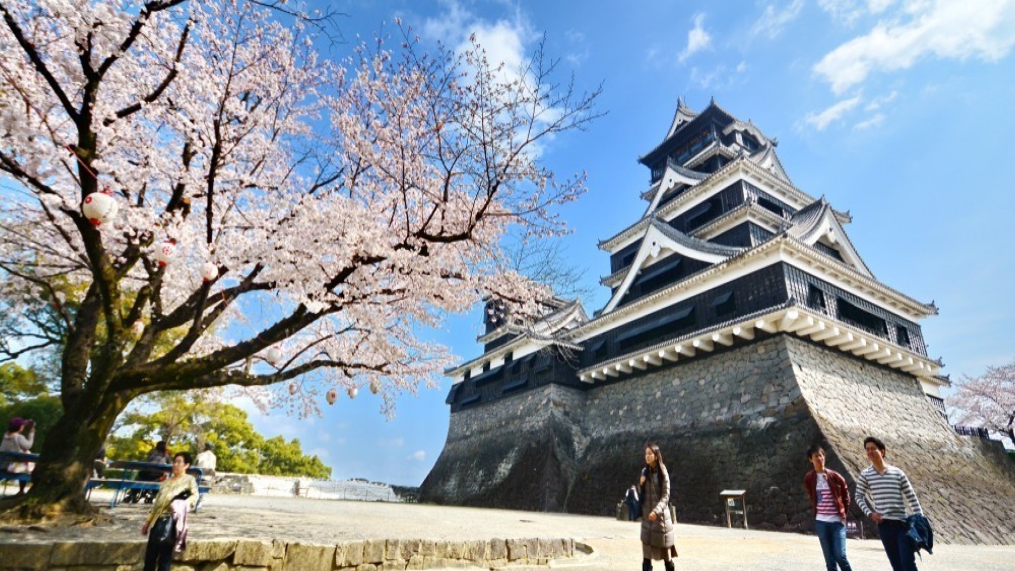 春には桜が満開です。