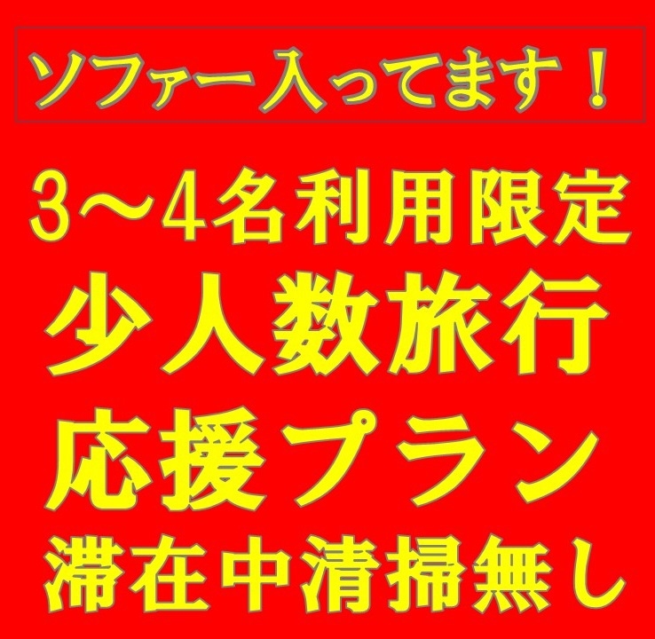 【ネット限定☆最大4名まで利用OK】3〜4名利用！少人数旅行応援プラン♪ソファーベッド導入！全館禁煙