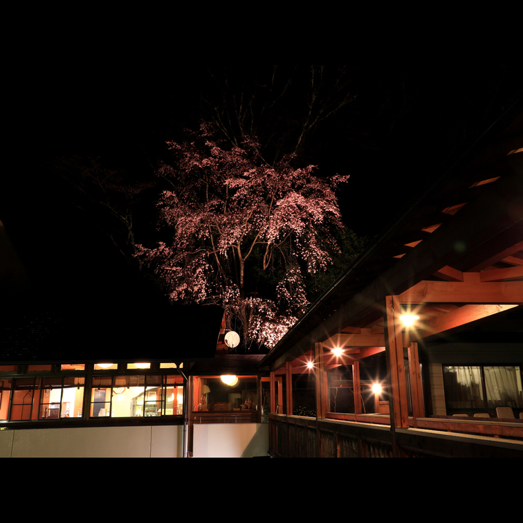 【1泊朝食付き】世界遺産・吉野山を満喫♪朝は花夢花夢でゆっくり・・・リーズナブルステイ☆彡