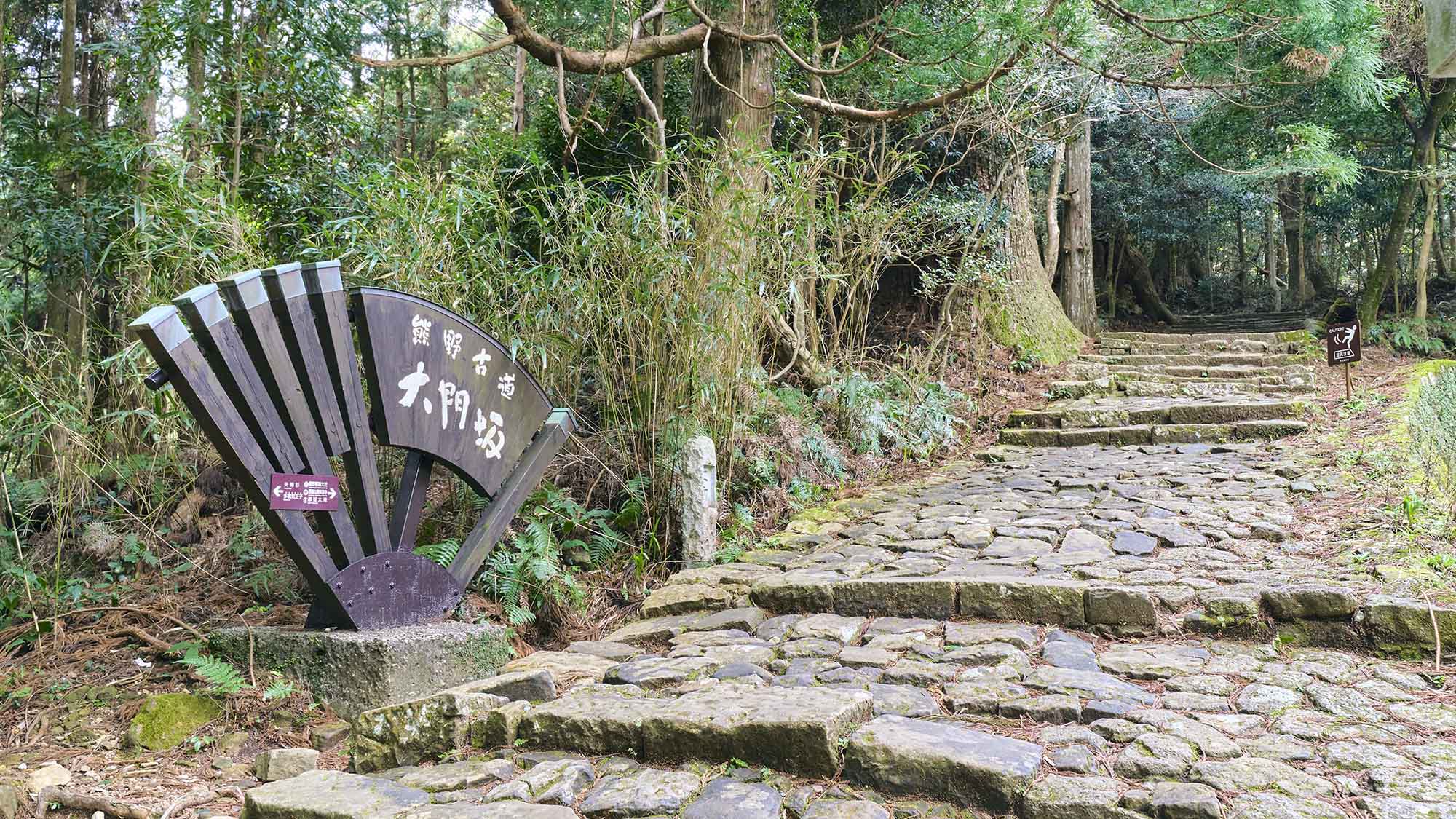 ・【周辺】那智山（熊野古道・大門坂）：那智山へと続く石畳