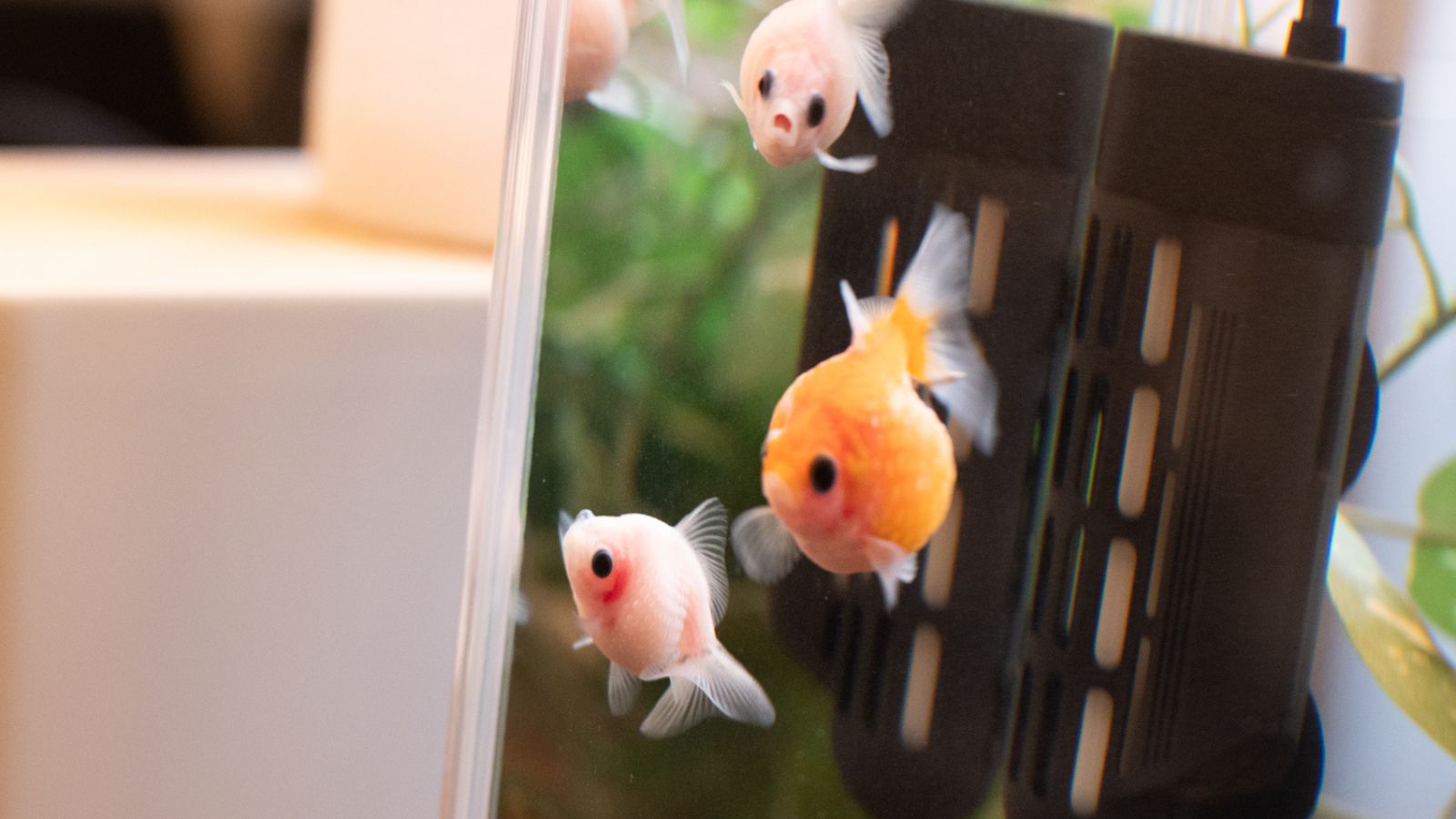 喫茶コーナー②