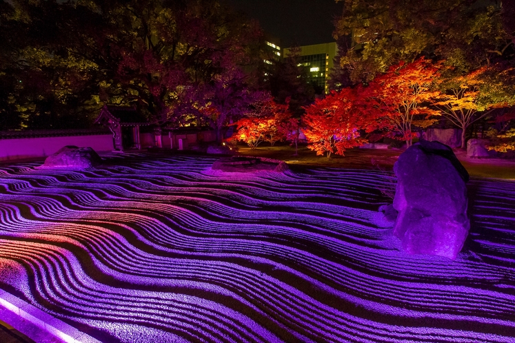 承天寺ライトアップ「写真提供：福岡市」