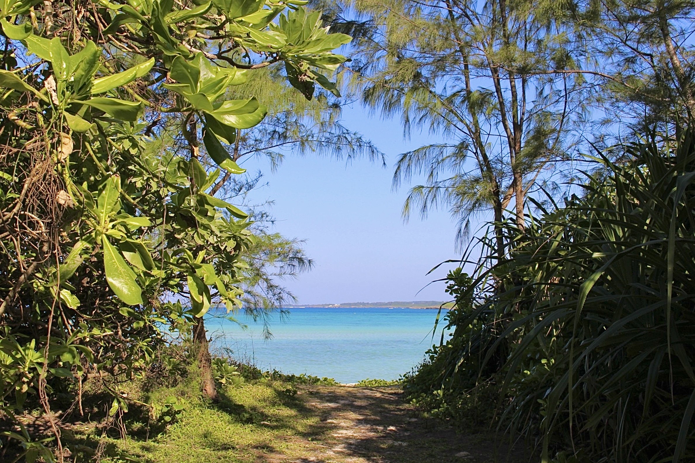 客室から徒歩3分でビーチへ