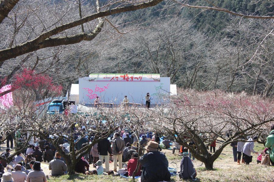 人吉梅まつり　(2月下旬)
