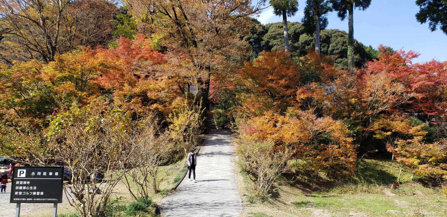 新宮寺（紅葉）
