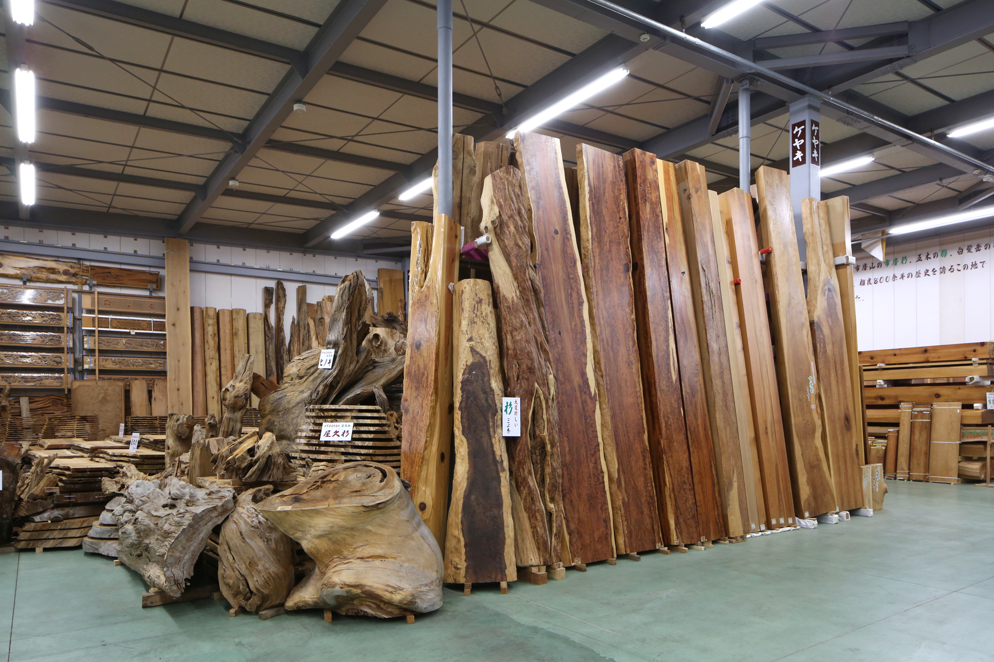 屋久杉館記念館C