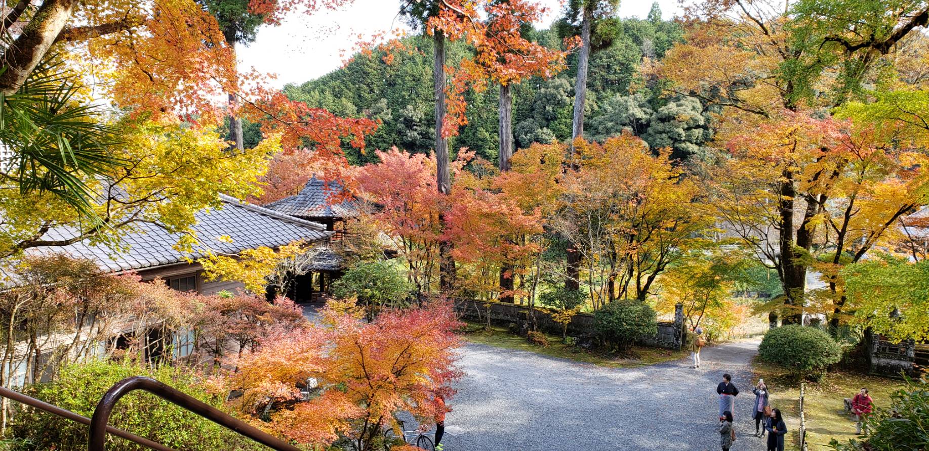 新宮寺（紅葉）