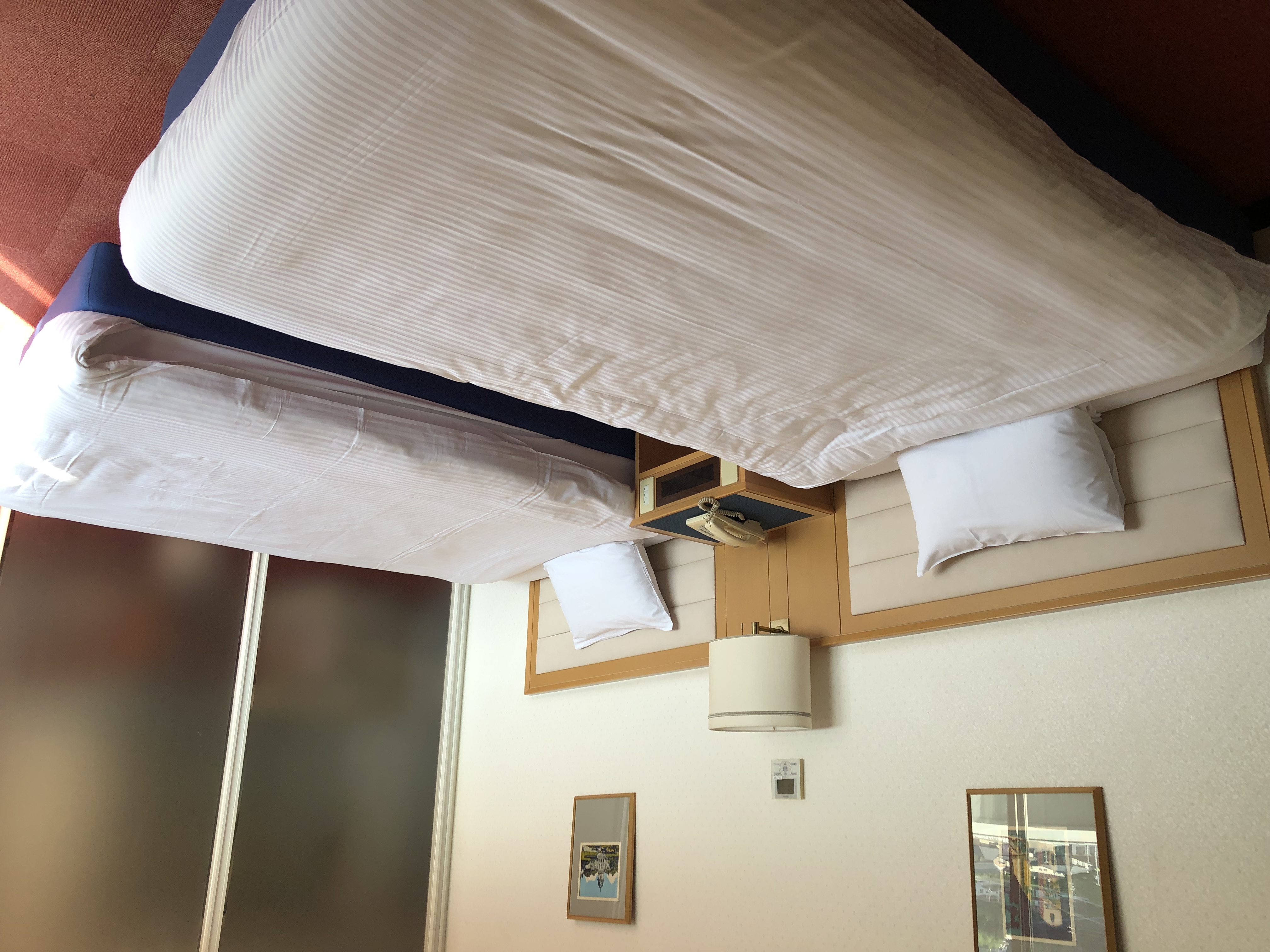 デラックスツイン