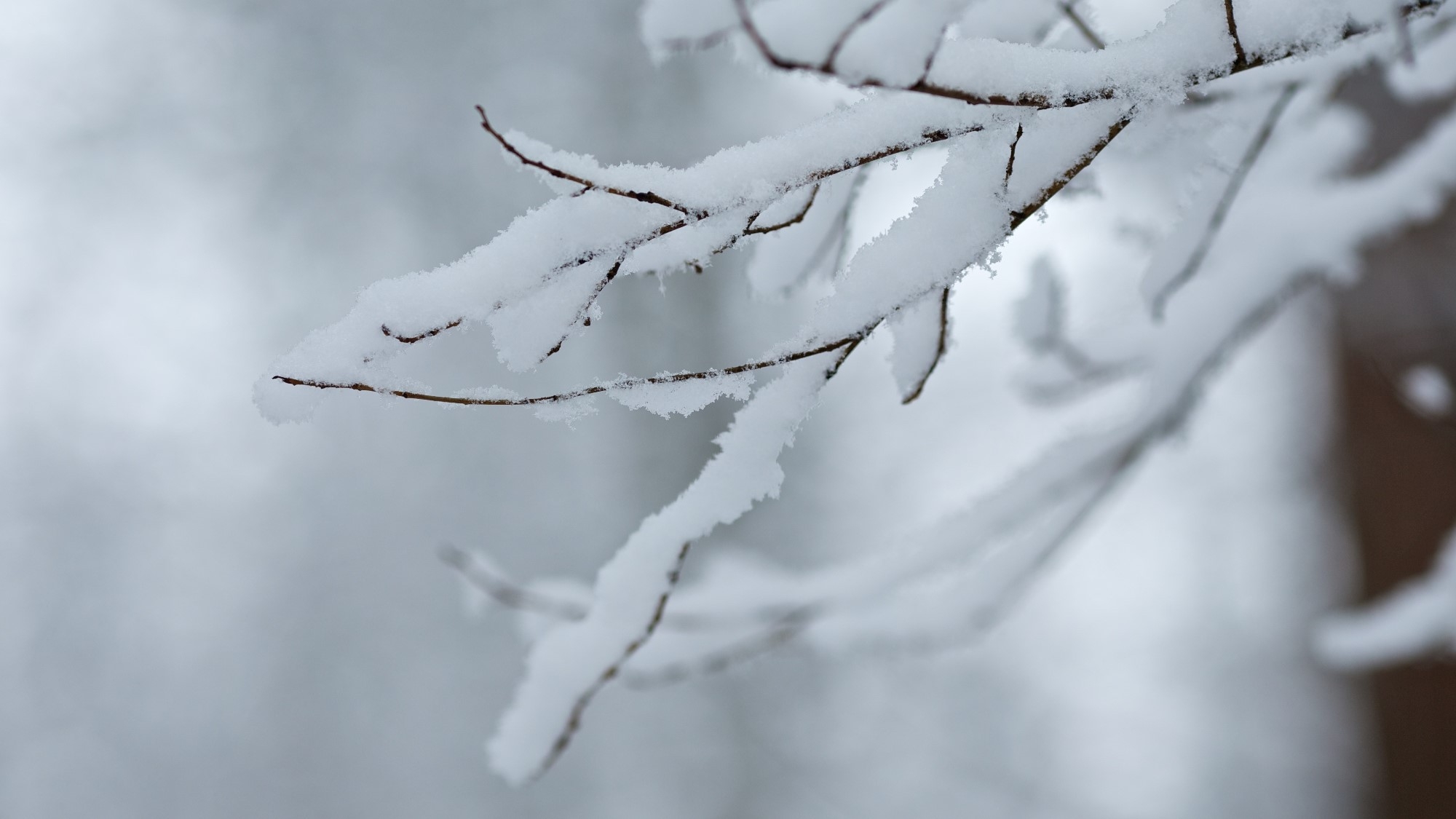 【春SALE】湯めぐり旅★草津・伊香保へもアクセス◎‥自然の中でのんびりゆったり‥《1泊素泊まり》