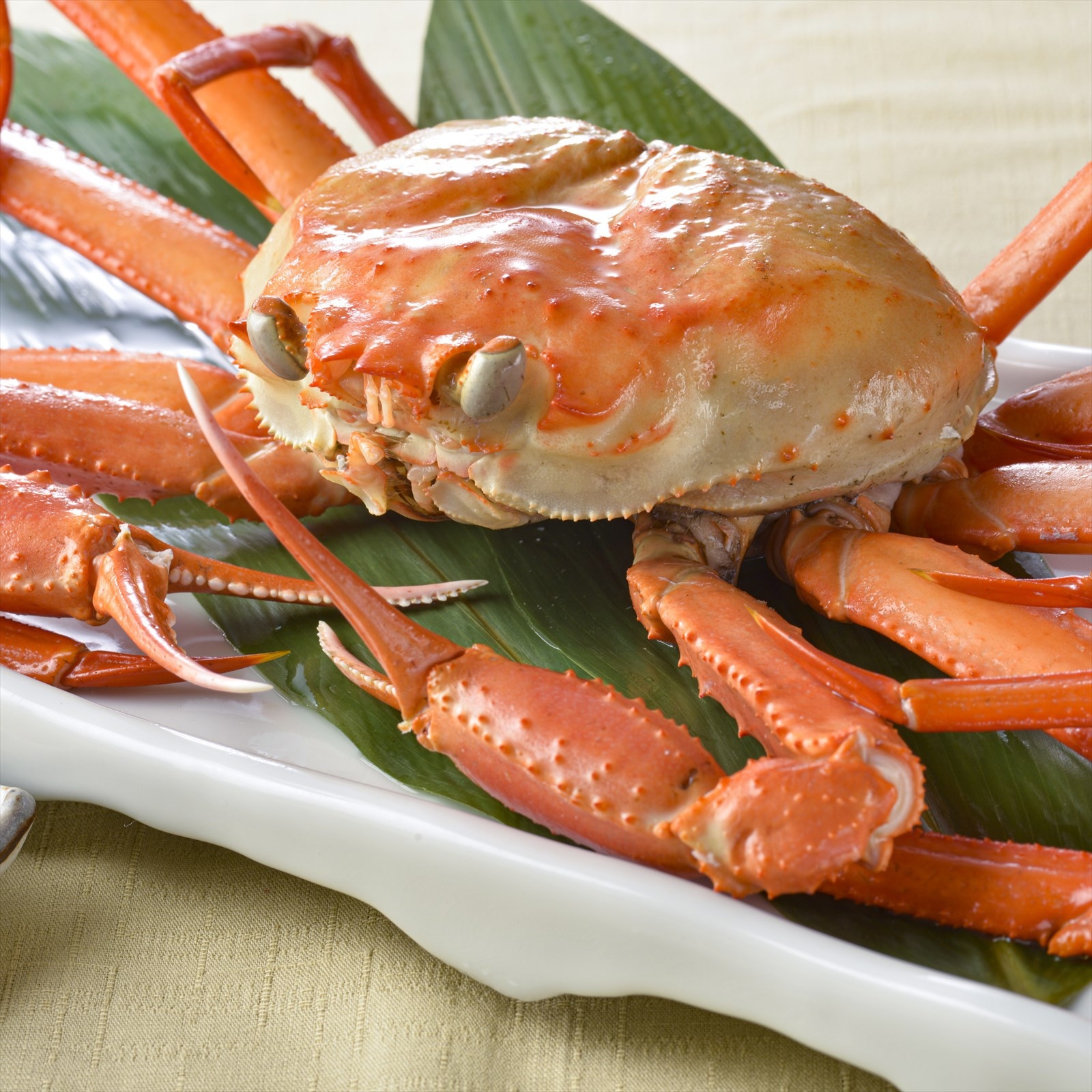 【早期割30/さき楽】【夕食・朝食付】旬や地産の極上食材に料理長が贅を尽くした 四季折々の 極み御膳