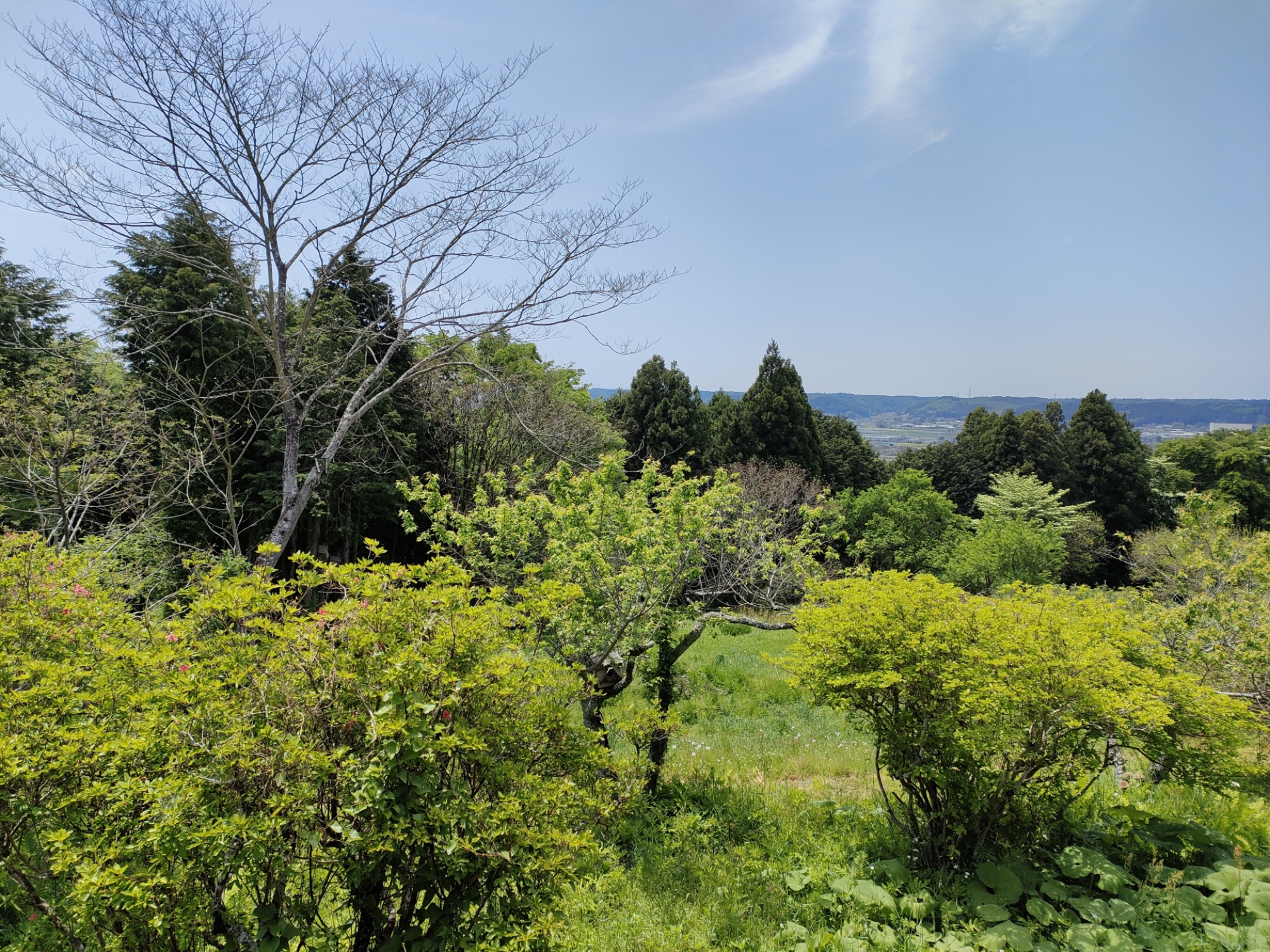 いわむらかずお絵本の丘美術館からの眺め（飯塚邸から車で14分）
