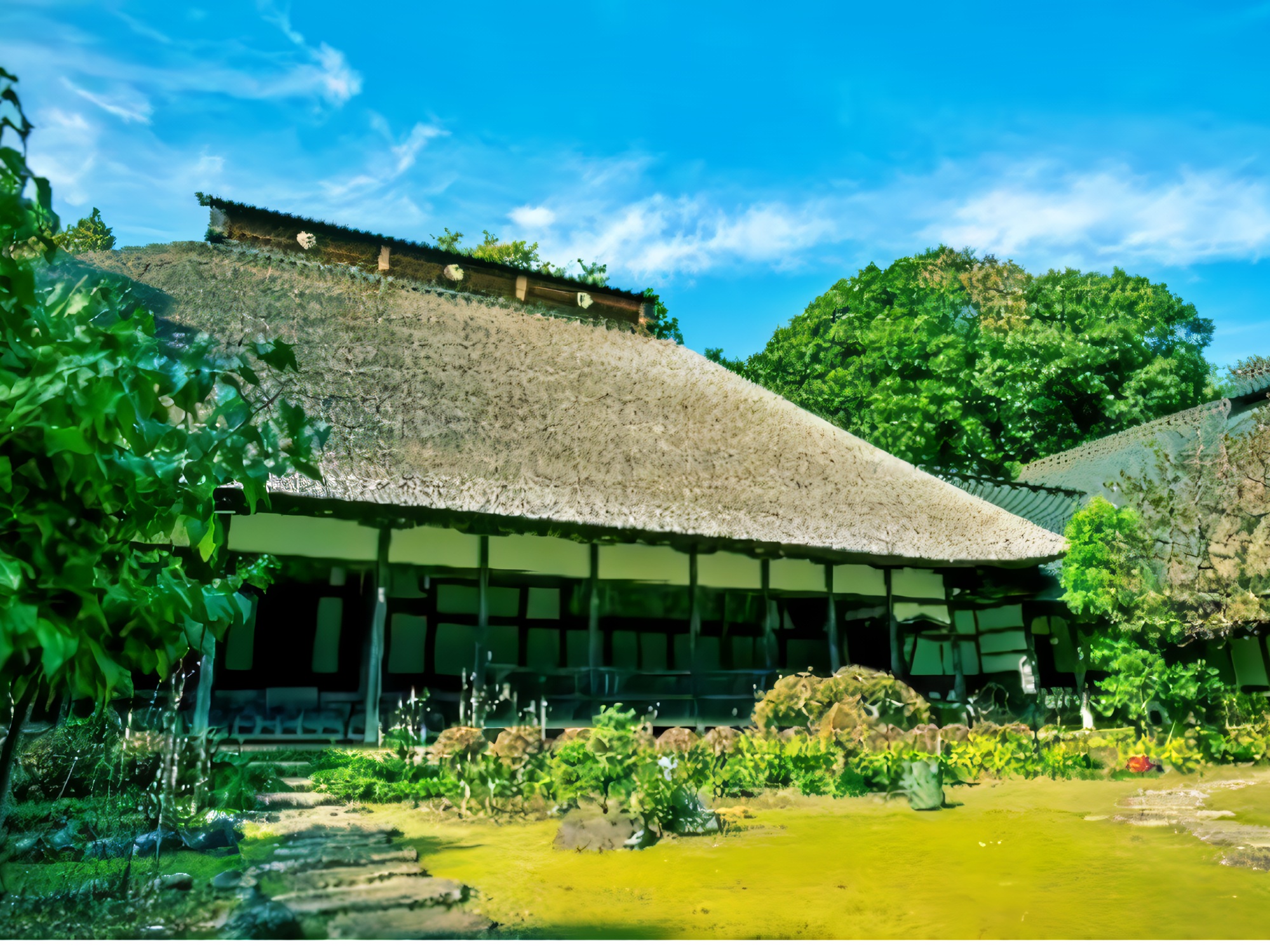 【体験アクティビティ】大雄寺での座禅瞑想とツアー