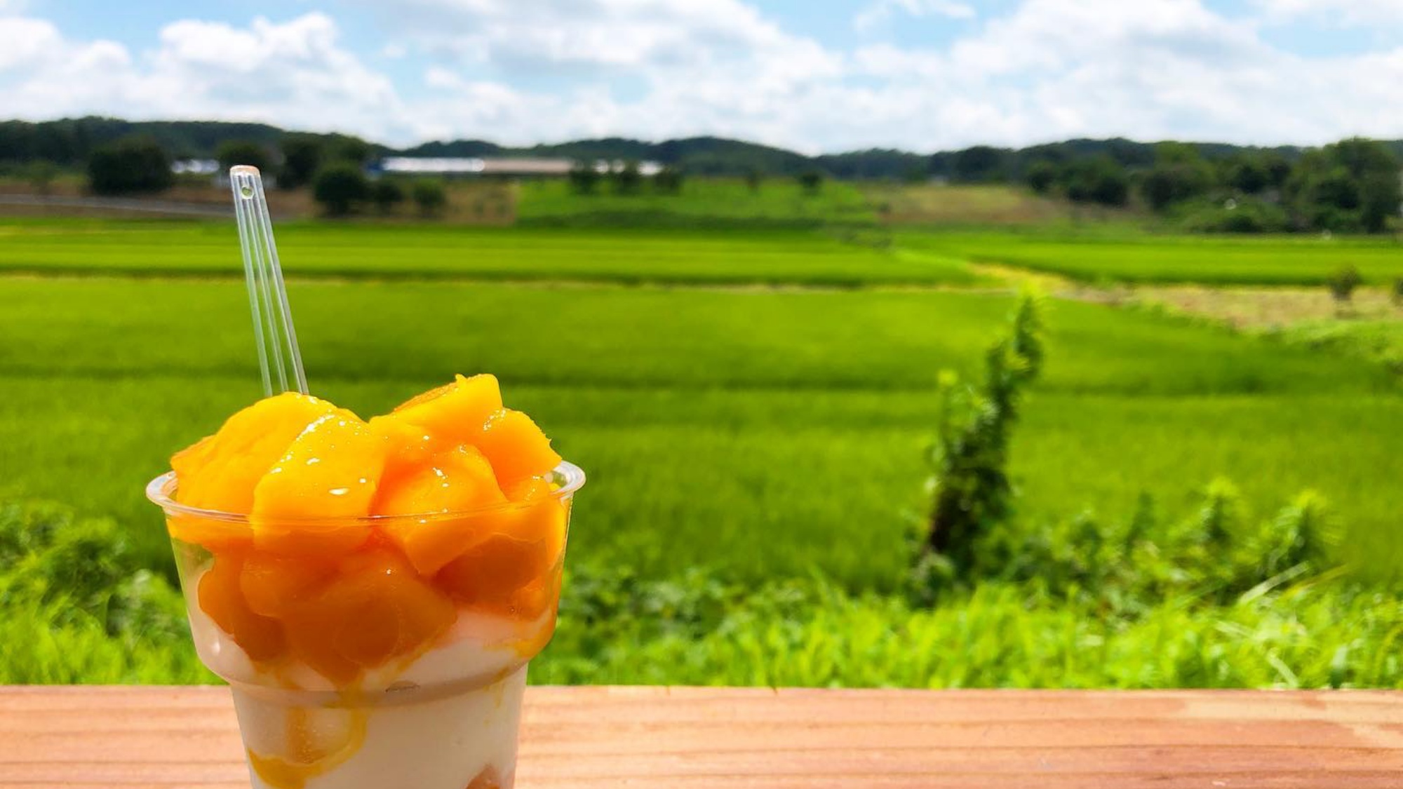 【あかねテラス】当館から車で9分。