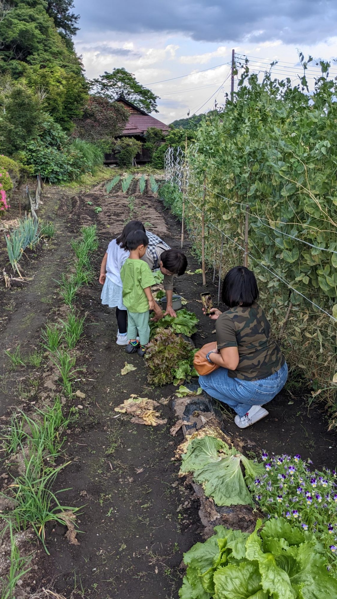 【体験アクティビティ】農家で楽しむ夕食体験。詳細はお問い合わせ下さい。＜別途料金＞