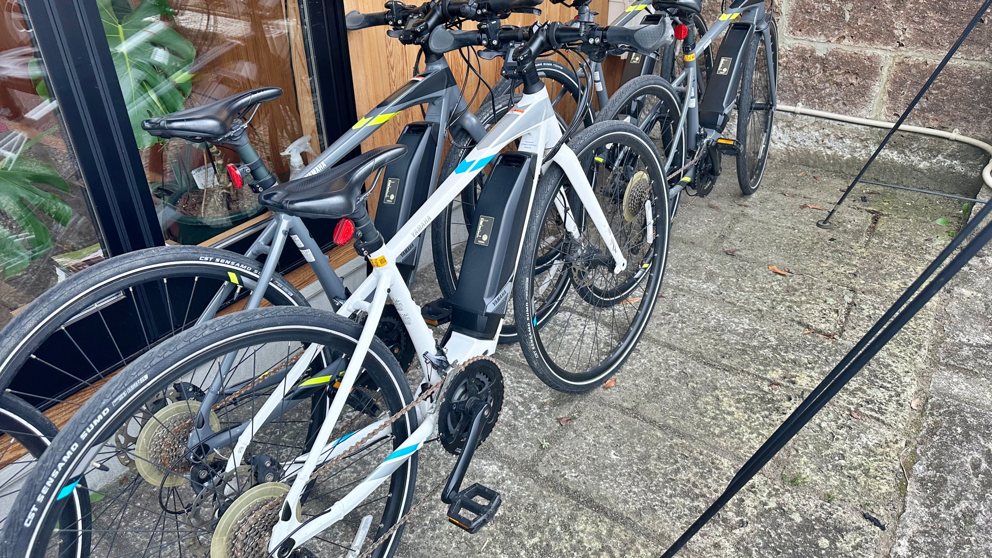 宿泊者限定で電動アシスト付き自転車が無料レンタル（予約制・先着５名さま）