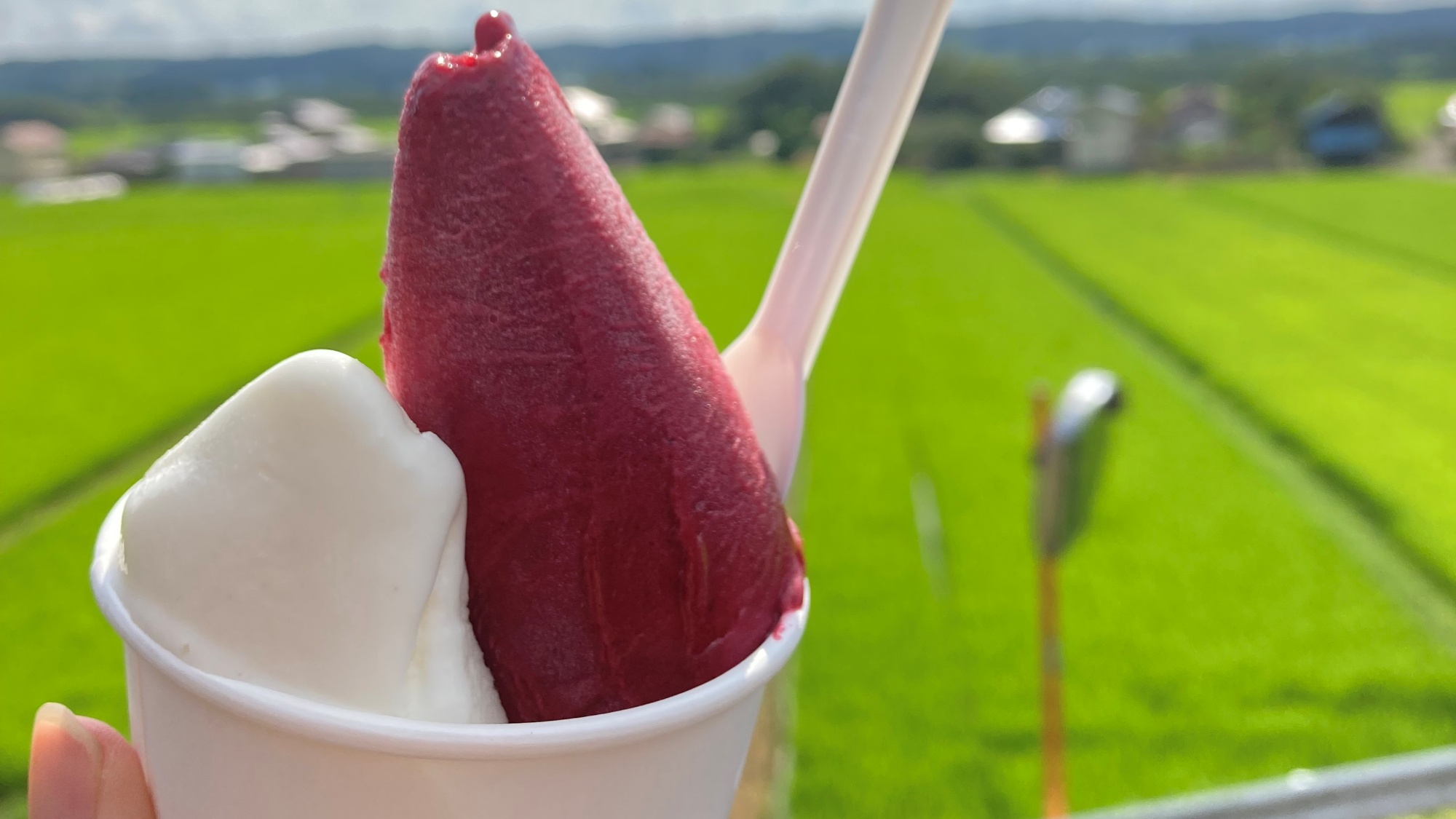 【アイス工房 武茂の郷】季節の果実を使った手作りジェラートが人気。＜当館から車で7分＞