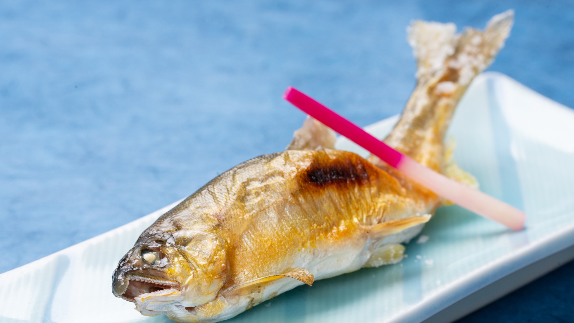 *夕食一例／季節の焼き魚