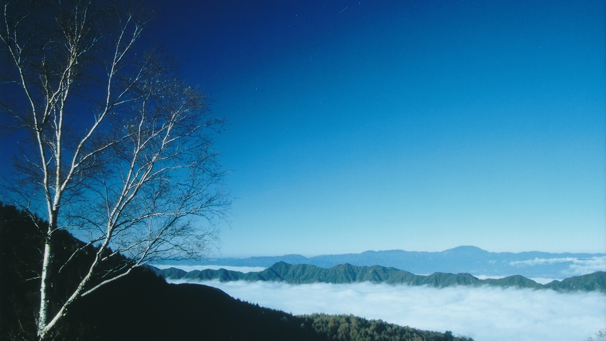 *雲海の景色／眼下に広がる神秘的な光景