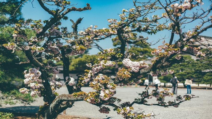 周辺観光風景 - 019