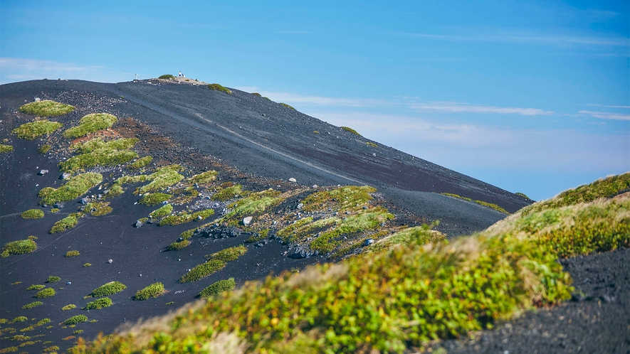 ・三原山からの景色も絶景です