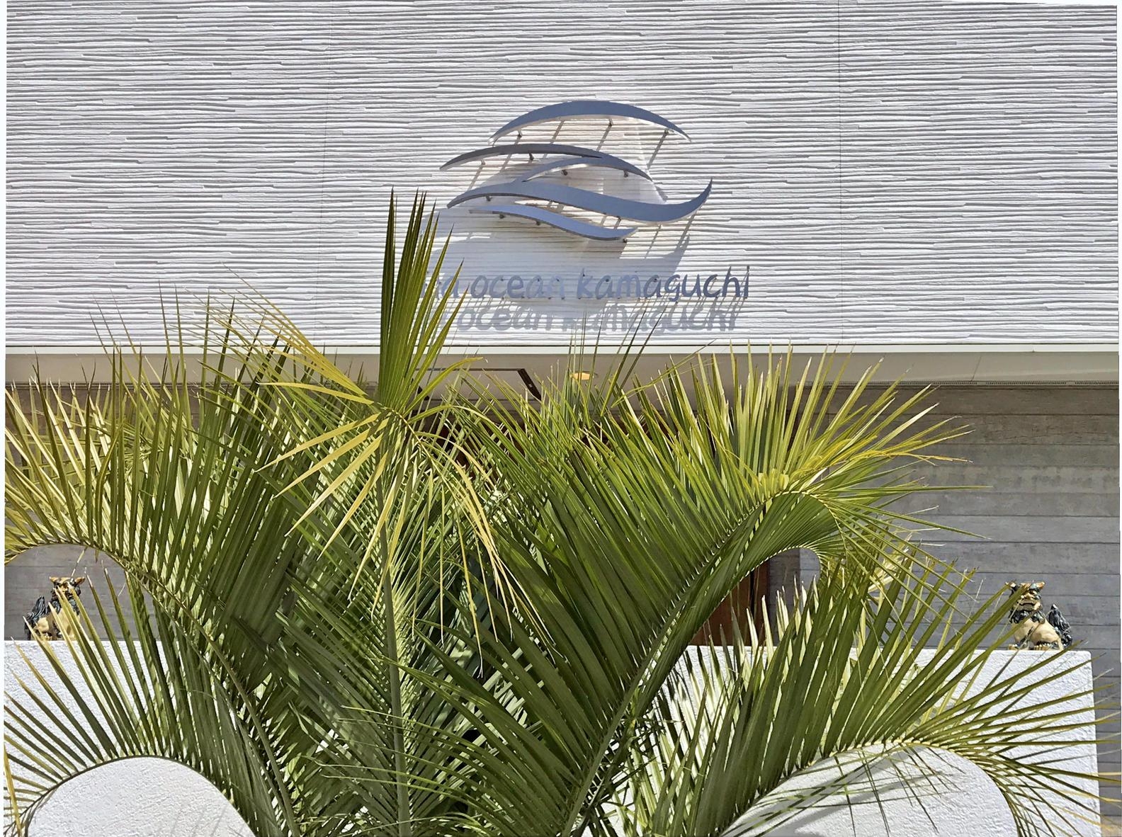 母の日・父の日スペシャルプラン！５〜６月限定　７〜８名様で貸切