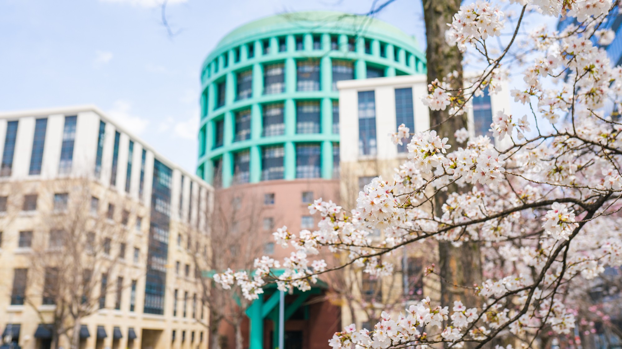 外観（桜）