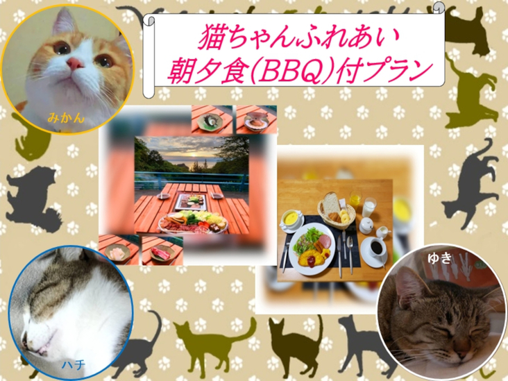 猫ちゃんふれあい朝夕食(BBQ)付プラン