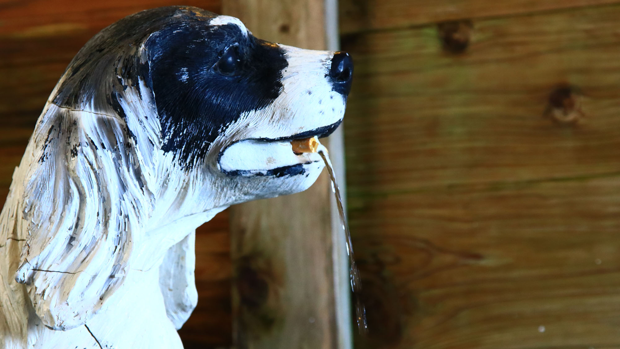 大岩風呂◆ワンちゃんのお口からお湯が出ているのが特徴の温泉です