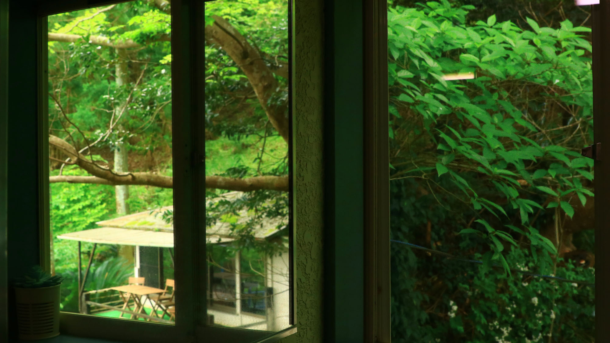 施設◆館内からは自然を眺めることが出来ます