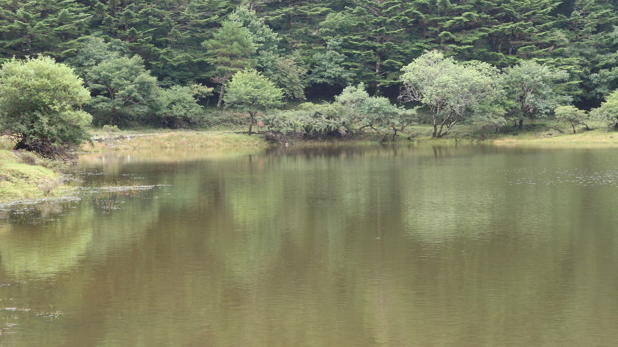 *夫婦池／当館目の前、散策にお勧め