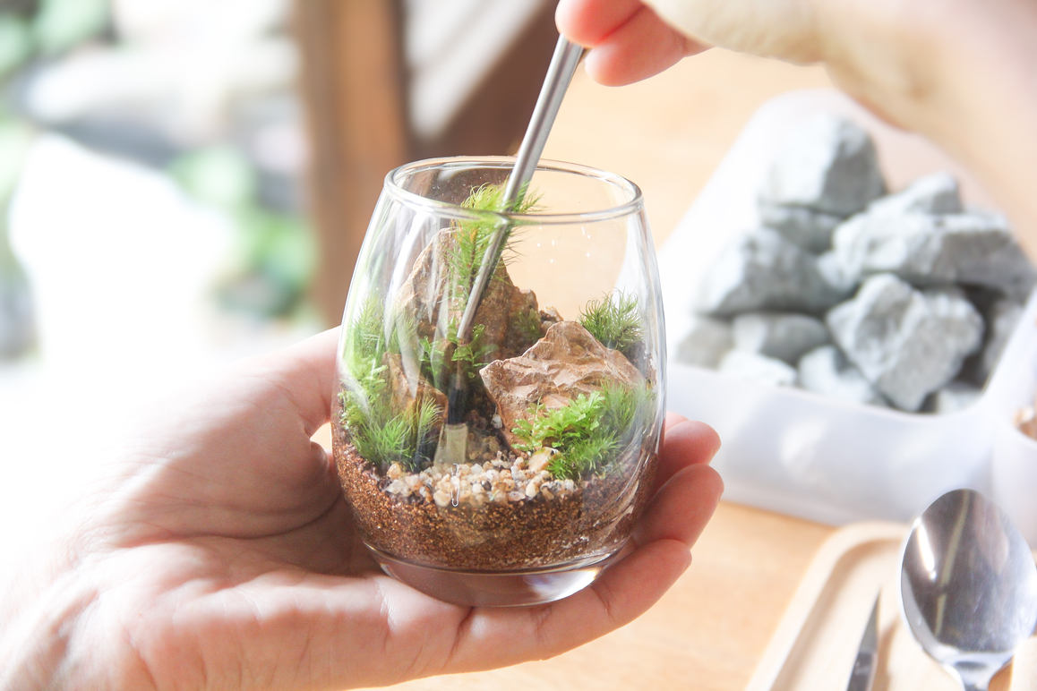 【鎌倉で過ごす癒しのひととき】「苔テラリウム」制作体験付き宿泊プラン〜素泊まり〜