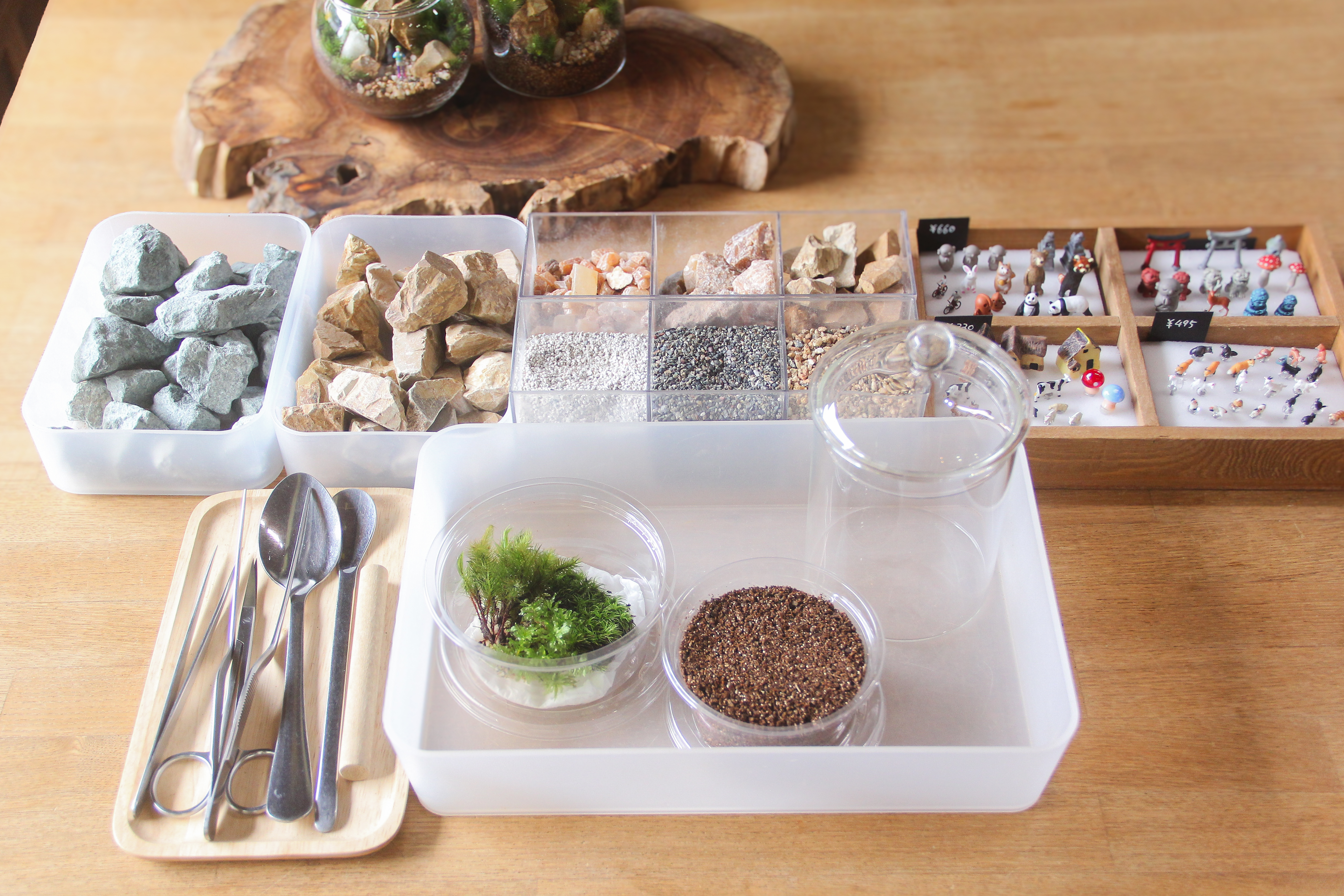 苔むすび　イメージ2