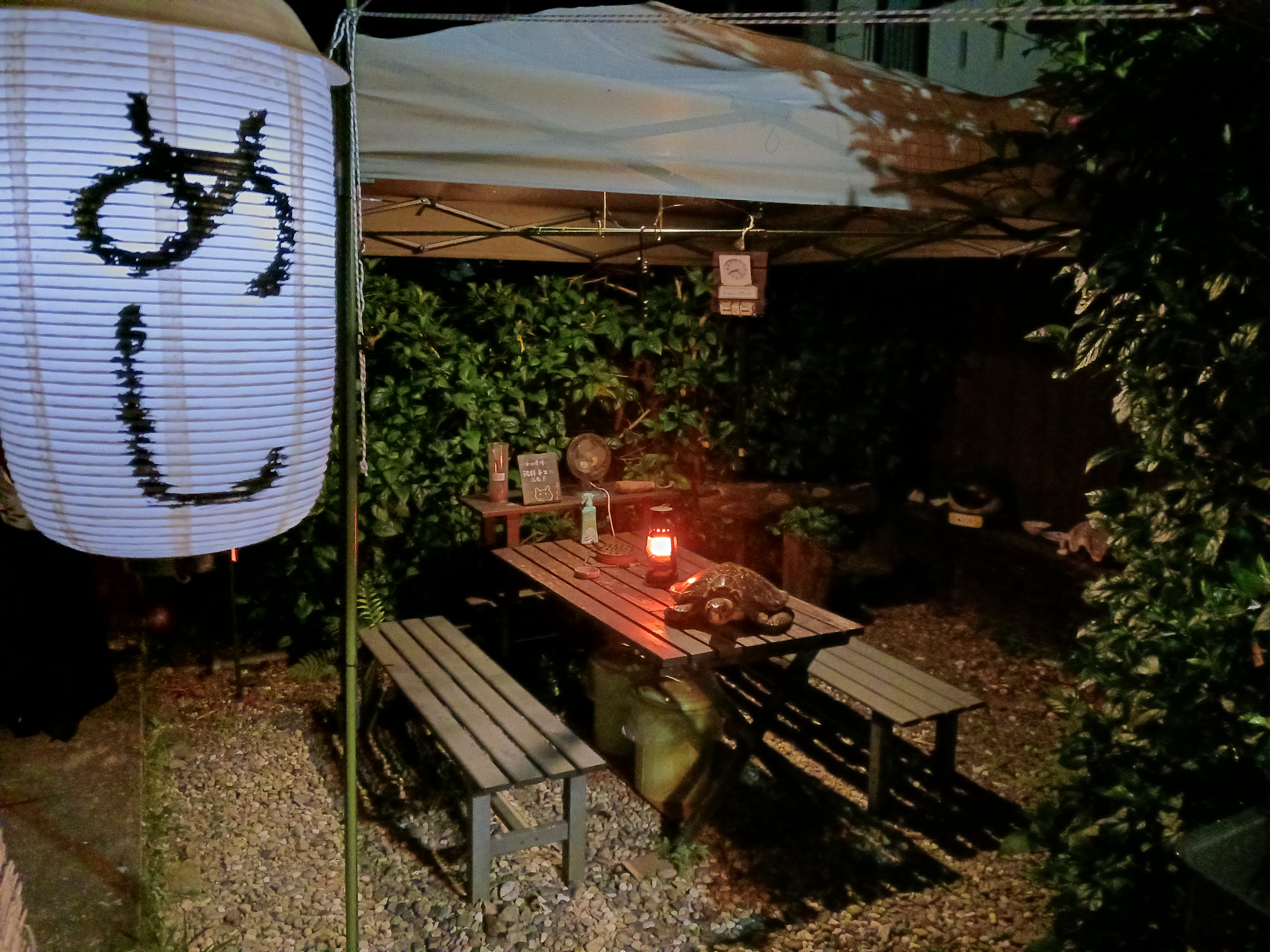 夜はランタンに火が灯りますよ～☆