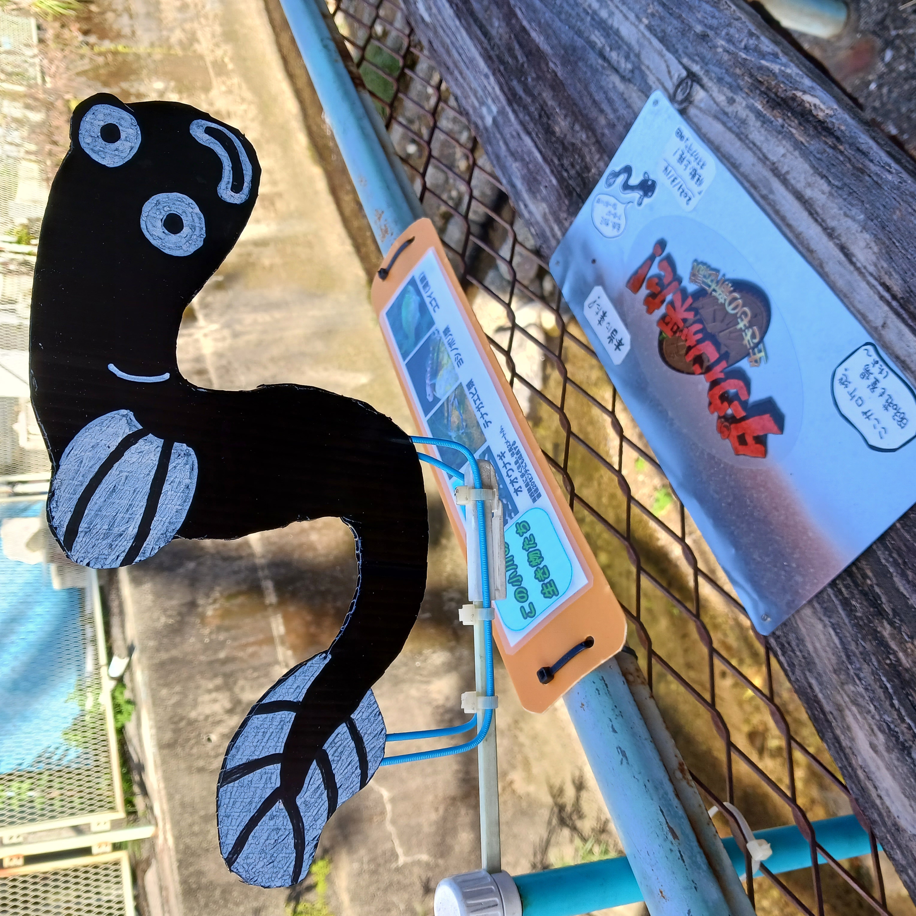 小川のせせらぎ、星空、フクロウの声、そしてこの小川の住人『オオウナギ』の戯れを眺めながら一杯飲んでみる？