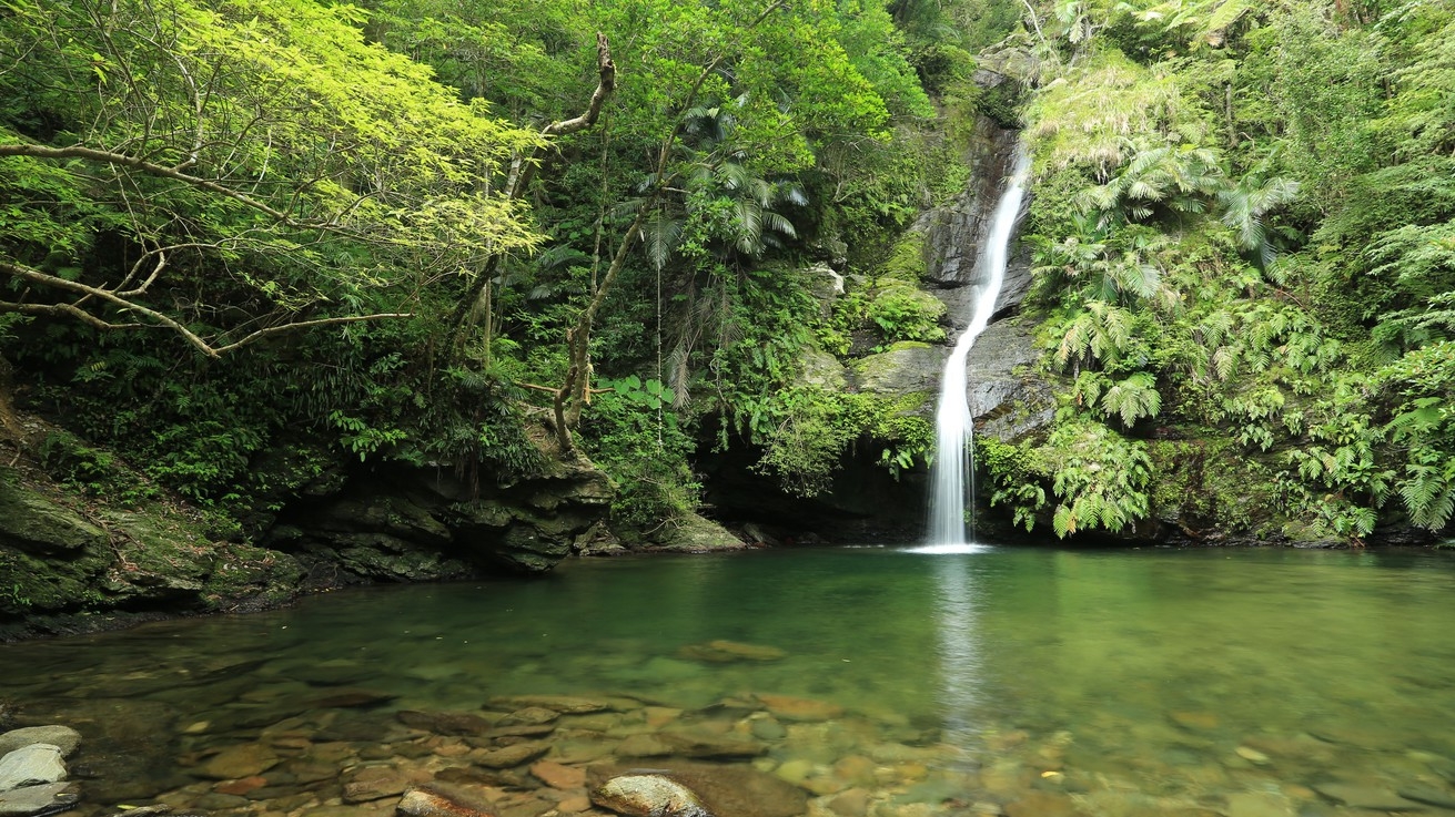 【エコツアー付き／素泊まり】貸切露天風呂付きの隠れ家プライベートヴィラで沖縄の自然を満喫