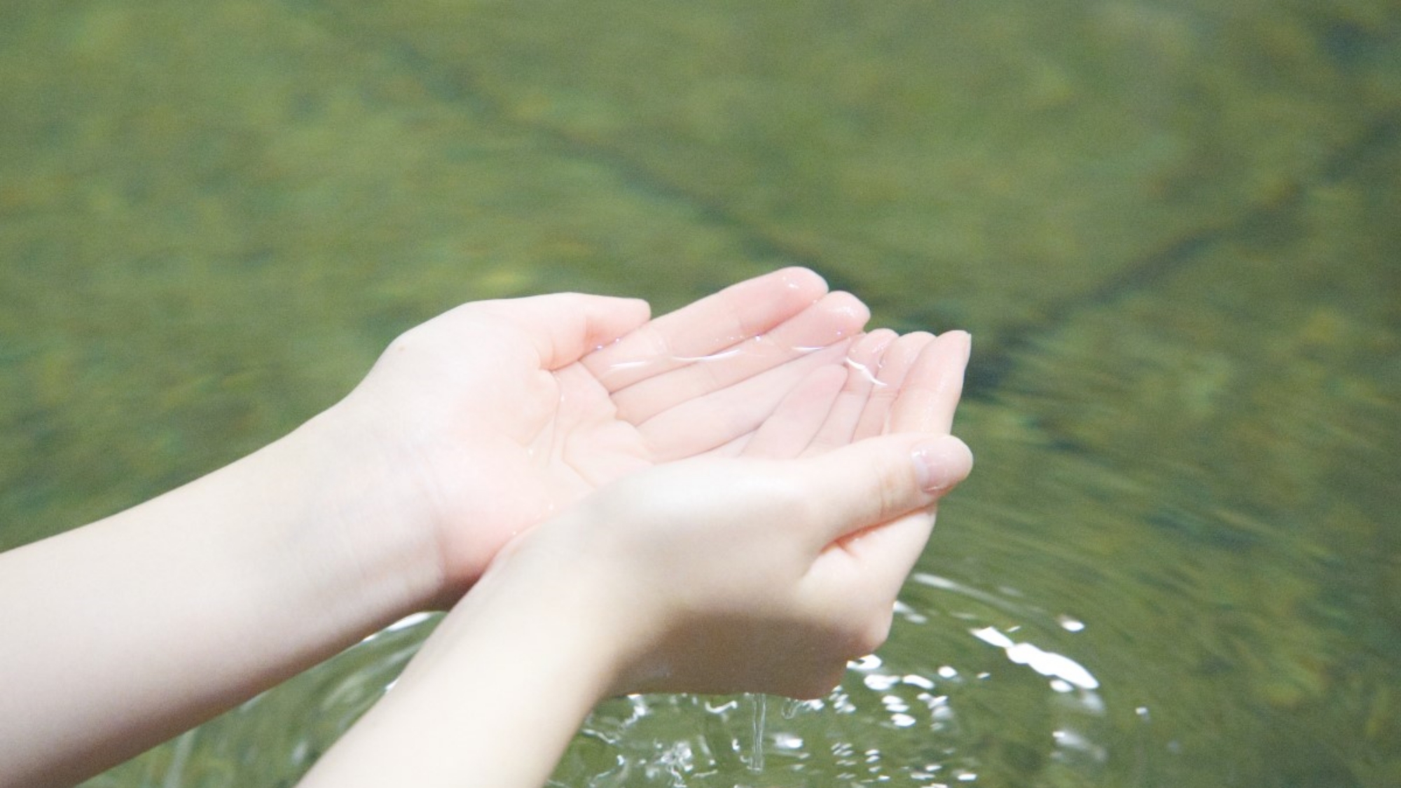 移動のお疲れも天然温泉で癒せます