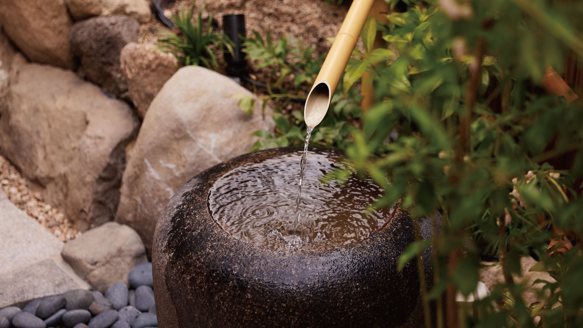 【■U30応援割■】お料理＆お部屋おまかせで愉しむ 鞆の浦“ライトステイ”＜1泊2食＞